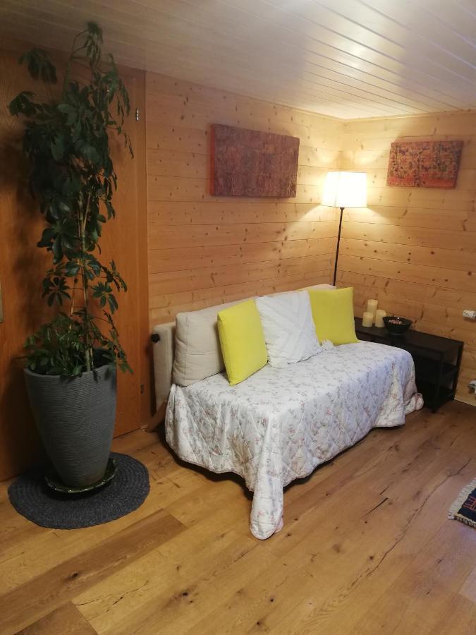 Gemuetliche Wohnung In Einfamilienhaus Alberschwende Eksteriør billede