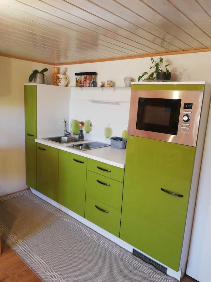 Gemuetliche Wohnung In Einfamilienhaus Alberschwende Eksteriør billede